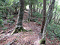 toisi027_thumb.png