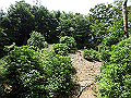 toisi028_thumb.png