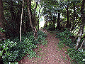 toisi029_thumb.png