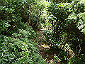 toisi032_thumb.png