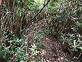 toisi033_thumb.png