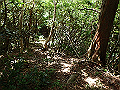 toisi034_thumb.png