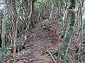 toisi035_thumb.png