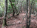 toisi037_thumb.png