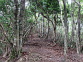 toisi040_thumb.png