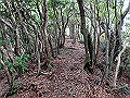 toisi041_thumb.png