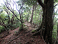 toisi042_thumb.png