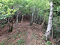 toisi043_thumb.png