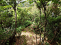 toisi045_thumb.png