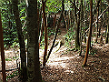 toisi048_thumb.png