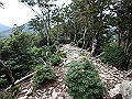 toisi058_thumb.png