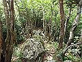 toisi059_thumb.png