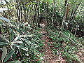 toisi061_thumb.png