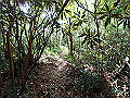 toisi062_thumb.png