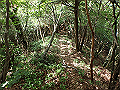 toisi063_thumb.png