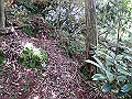 toisi070_thumb.png
