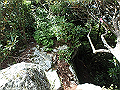 toisi071_thumb.png