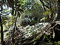 toisi072_thumb.png