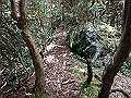 toisi074_thumb.png