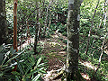 toisi077_thumb.png