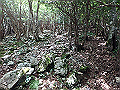 toisi078_thumb.png