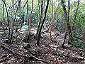 toisi082_thumb.png
