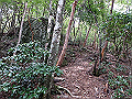 toisi083_thumb.png