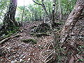 toisi086_thumb.png