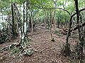 toisi087_thumb.png