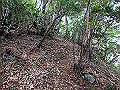 toisi088_thumb.png