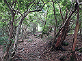toisi090_thumb.png