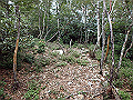 toisi091_thumb.png