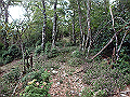 toisi092_thumb.png