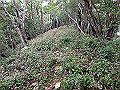 toisi094_thumb.png