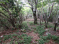 toisi095_thumb.png