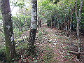 toisi096_thumb.png