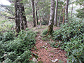 toisi097_thumb.png