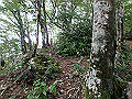 toisi098_thumb.png