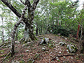 toisi099_thumb.png