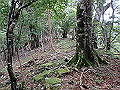 toisi110_thumb.png