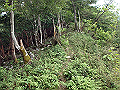toisi117_thumb.png