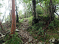toisi119_thumb.png