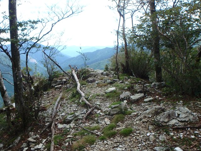 toisi120.jpg