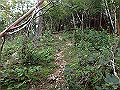 toisi130_thumb.png