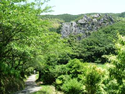tuno01.jpg