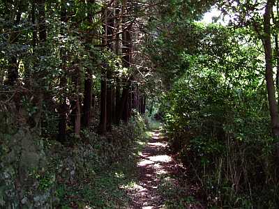tuno06.jpg
