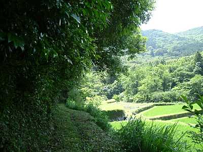 tuno07.jpg
