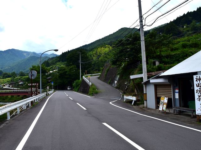 yamainu001.jpg