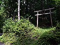 yamainu007_thumb.png