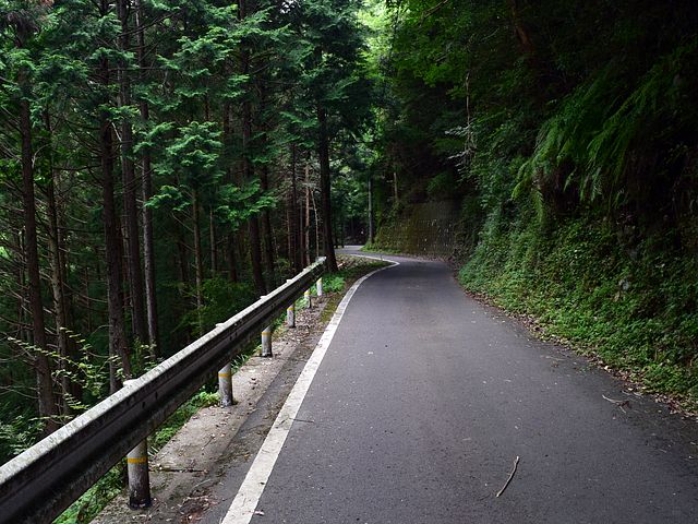 yamainu009.jpg